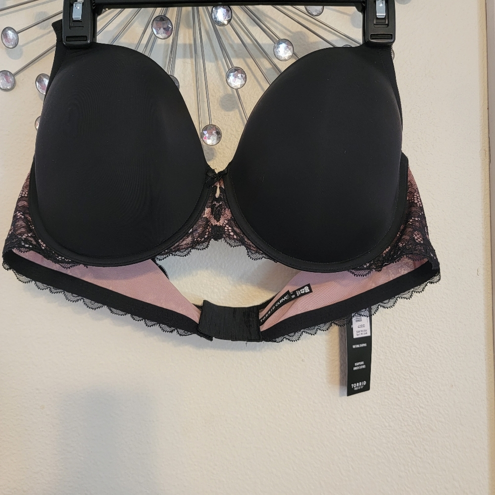 Torrid Bra - Picture 1 of 1